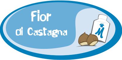 Fior di castagna